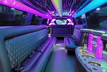 Gainesville Limo Interior