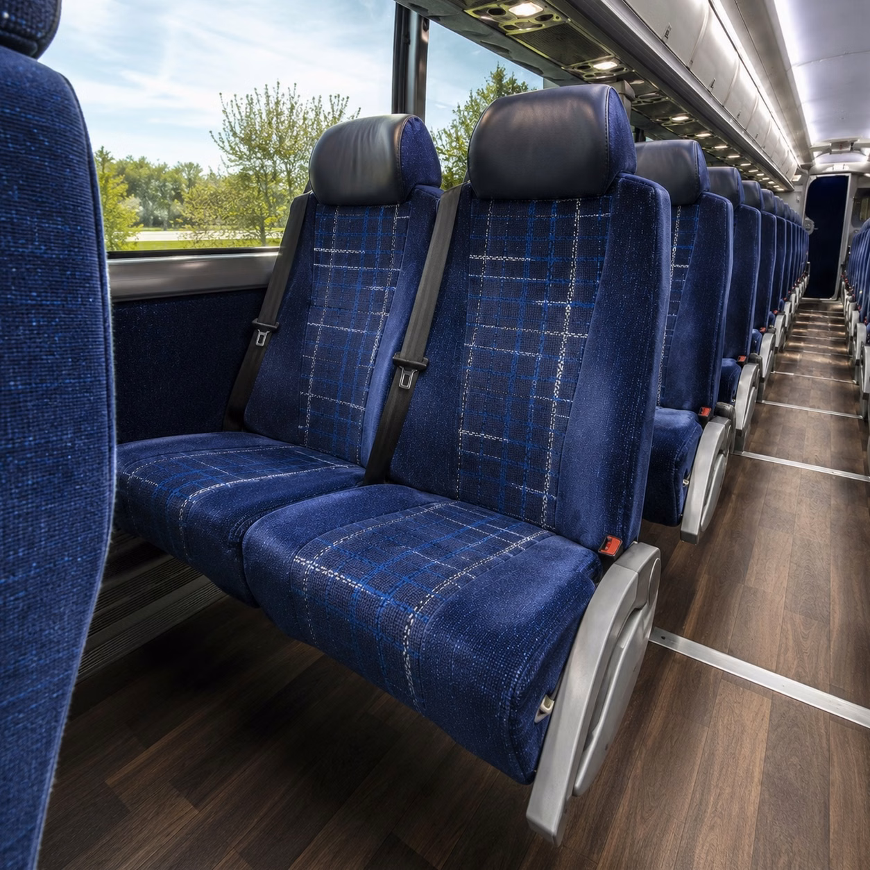 bachelorette party and pre wedding night out transportation in gainesville