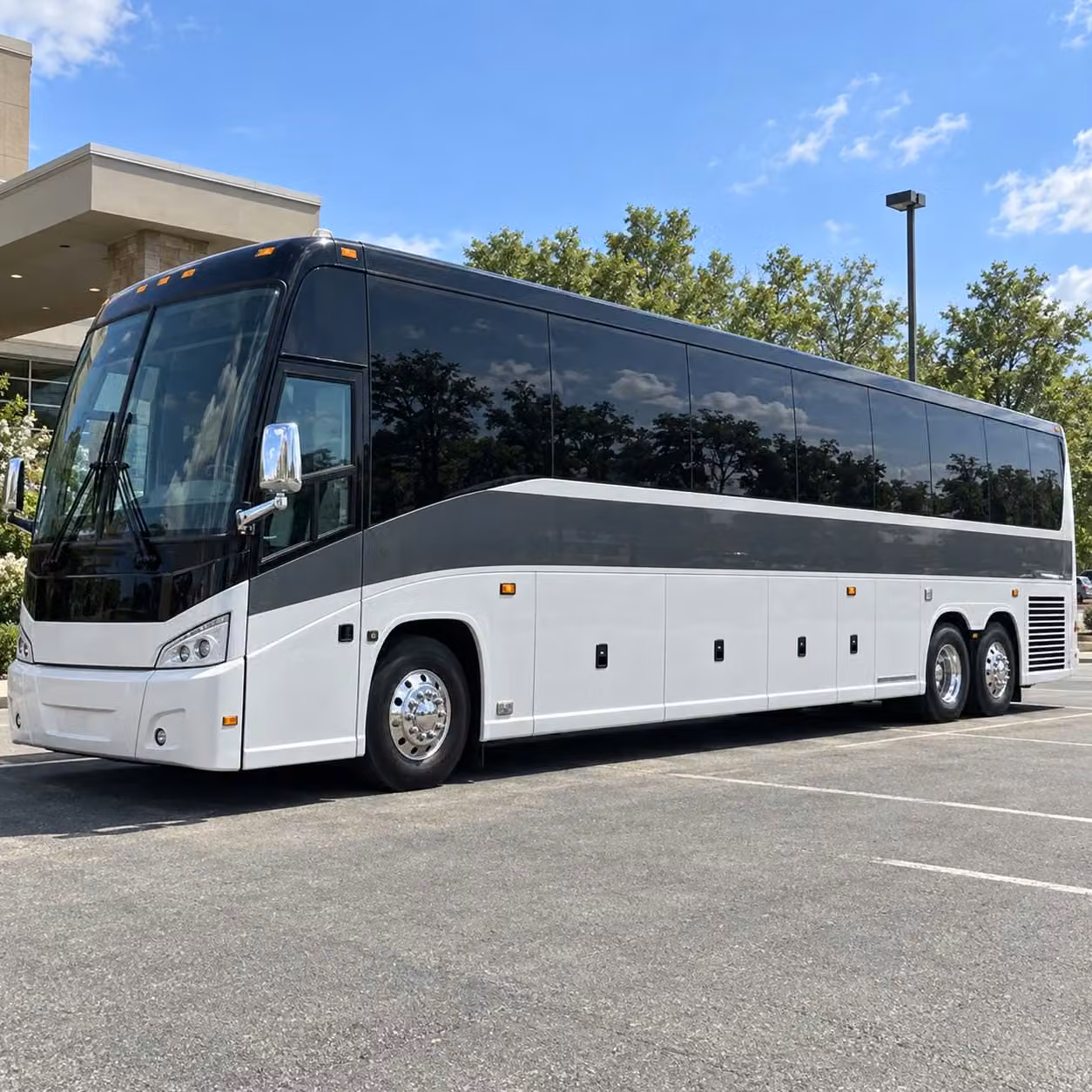 charter buses for gainesville field trips to morningside nature center and local outdoor destinations