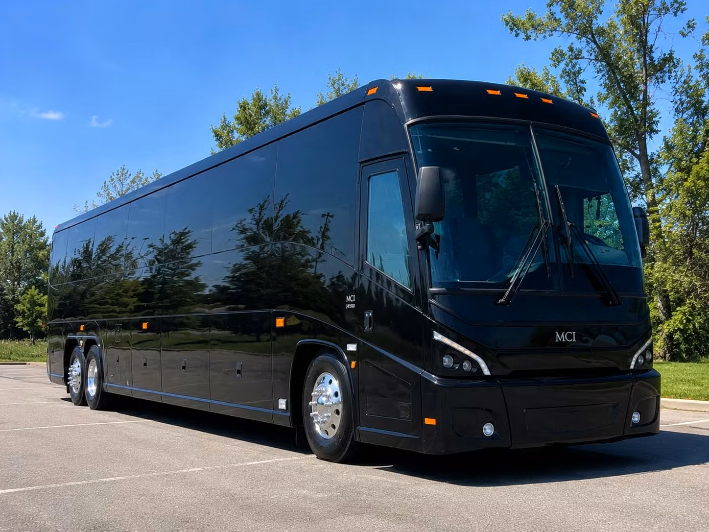 gainesville school groups can explore the florida museum of natural history with easy bus transportation